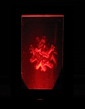 HOLOGRAM LAMP (untitled image) 2009